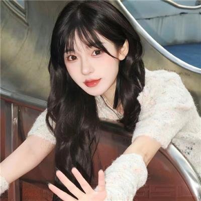 契诃夫之海鸥