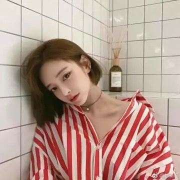 湾畔倾情第五季